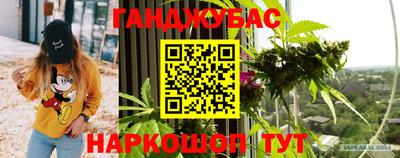 гашик Краснознаменск