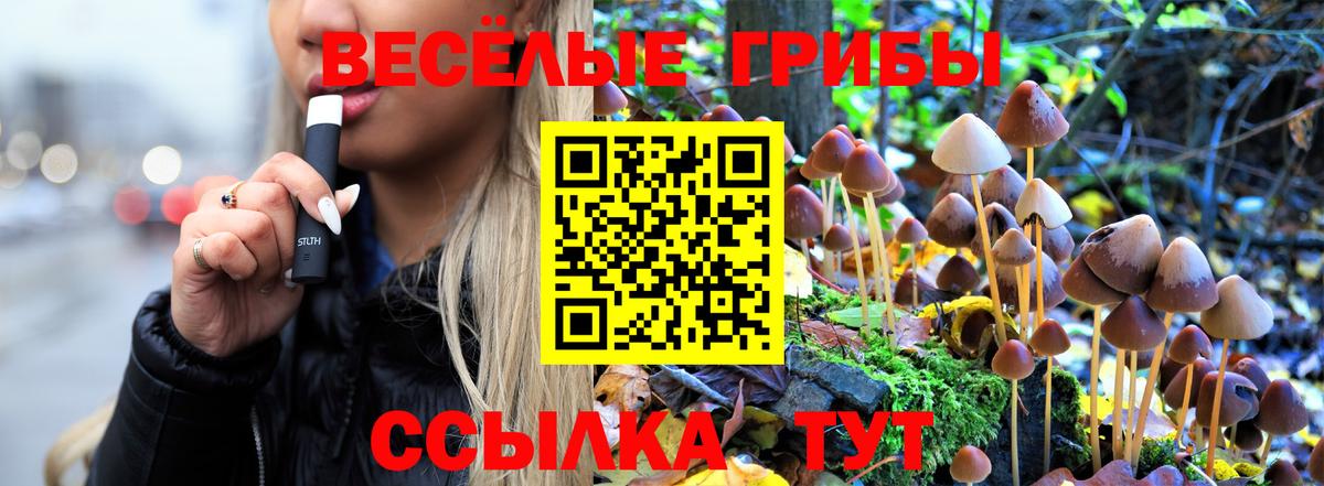 Галлюциногенные грибы прущие грибы  Псилоцибиновые грибы мухоморы  наркотики  Ульяновск  Вход с VPN 