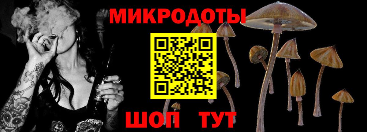 Псилоцибиновые грибы прущие грибы Ульяновск